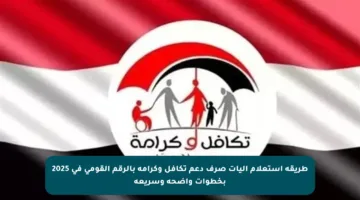 طريقة استعلام آليات صرف دعم تكافل وكرامة بالرقم القومي في 2025 بخطوات واضحة وسريعة